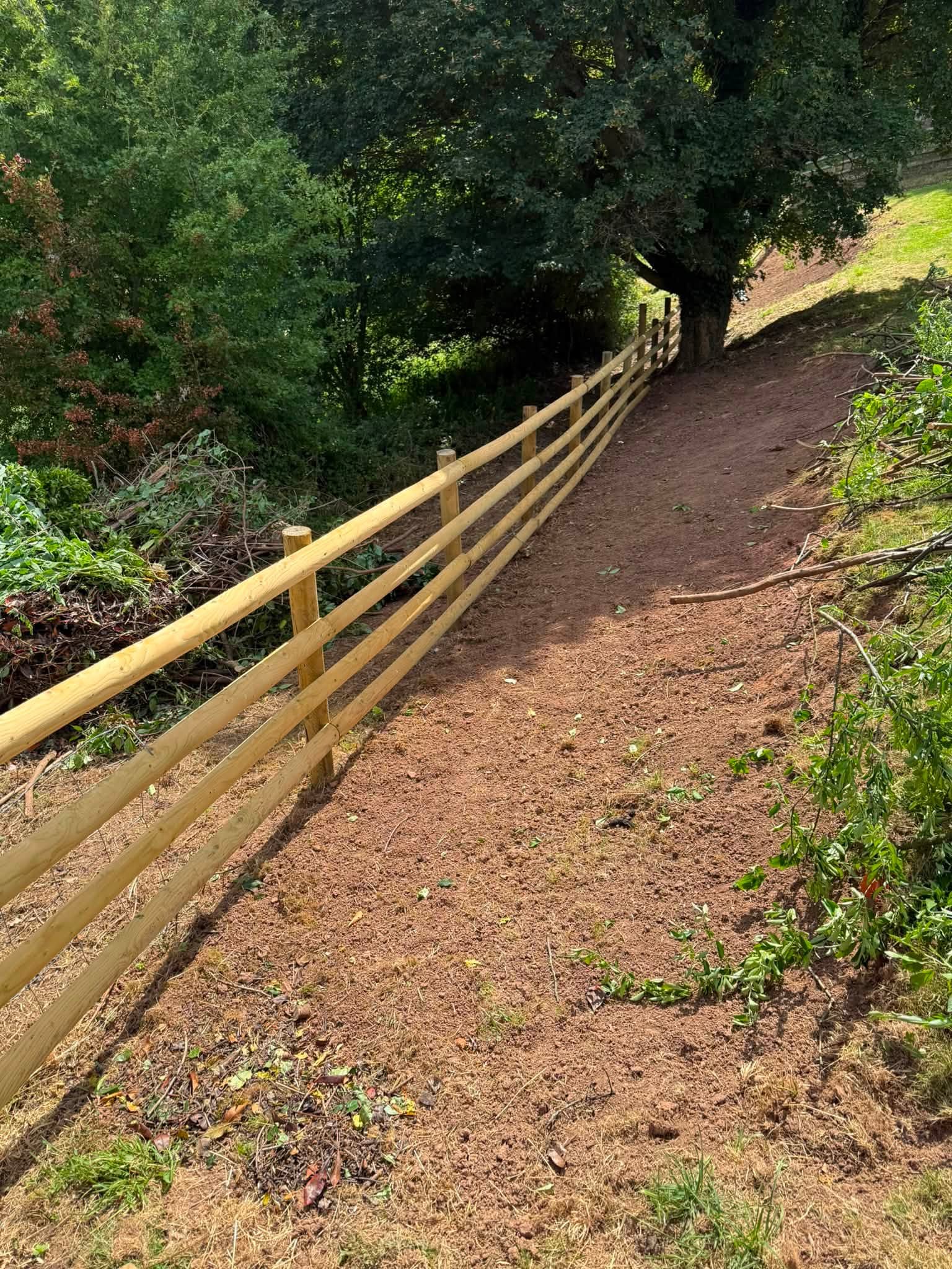 The finished new post and rail fence, clean and strong