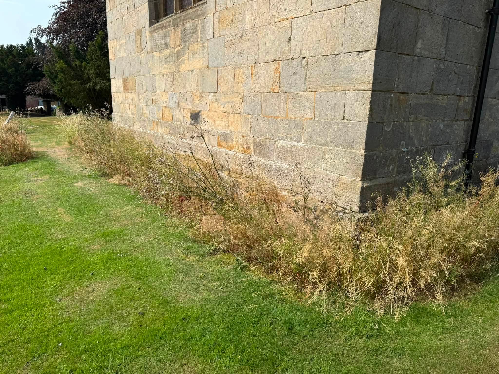 Overgrown grass around the churchyard before work