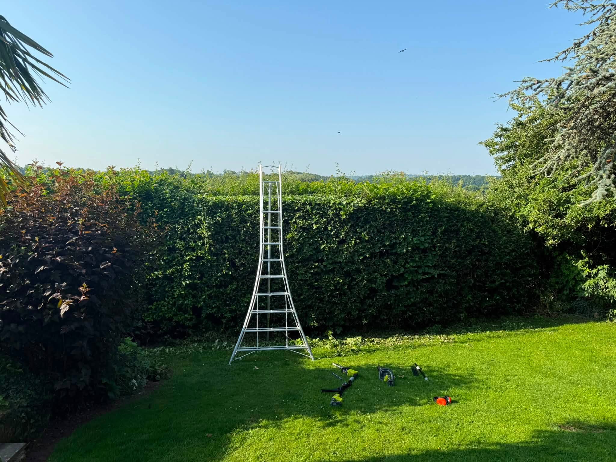 A larger hedge trimmed and tidied along the boundary