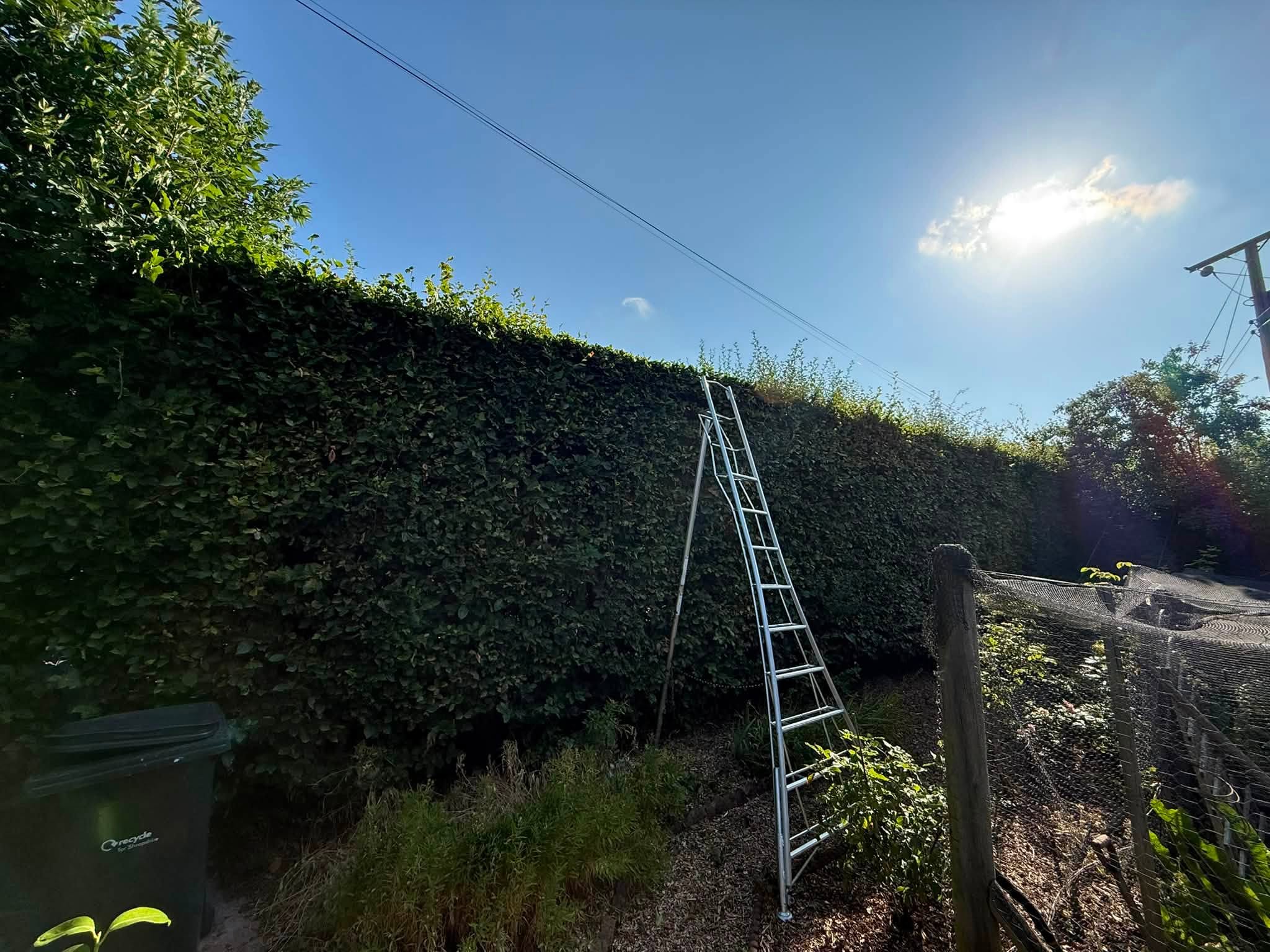 A boundary hedge cut back and shaped