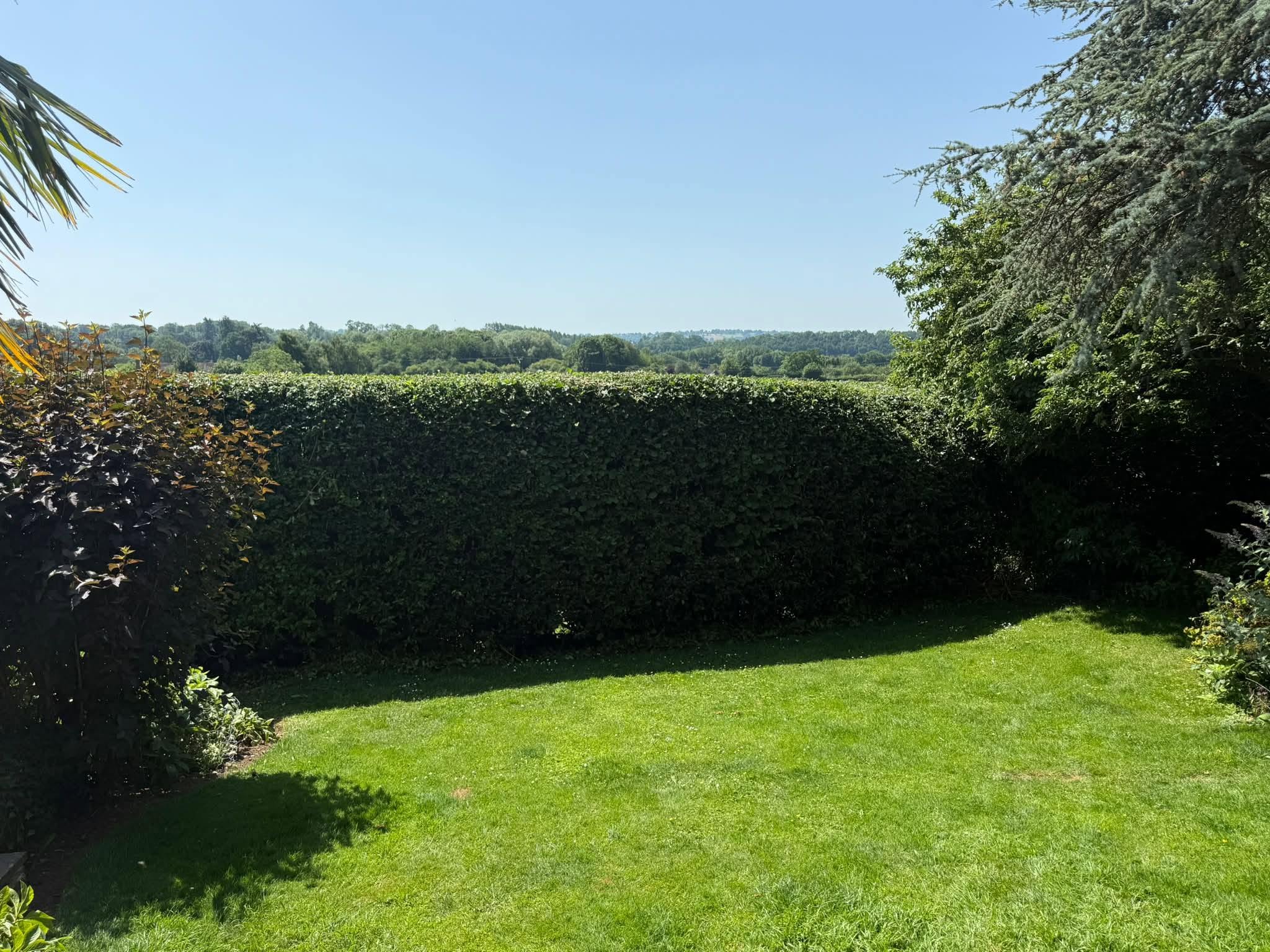 A neatly trimmed hedge, part of the full hedge-cutting job
