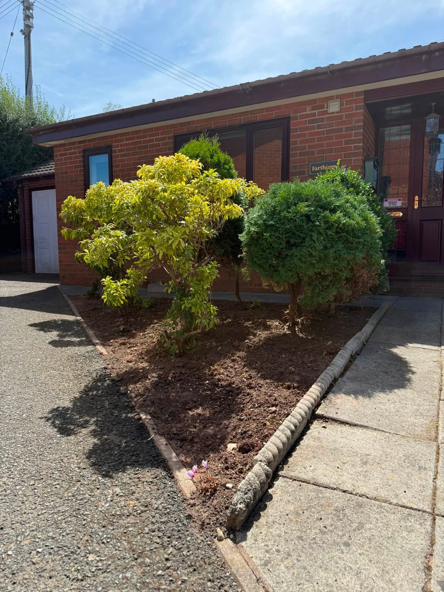 Paths and driveway thoroughly weeded