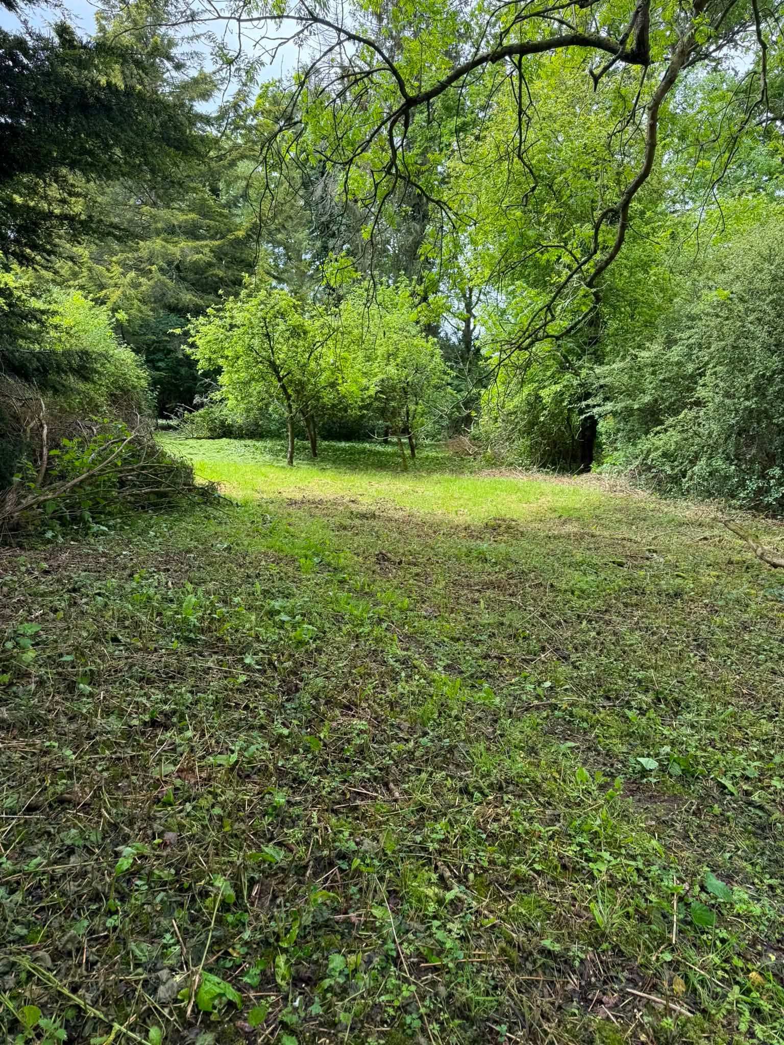 A large overgrown area cleared and looking tidy