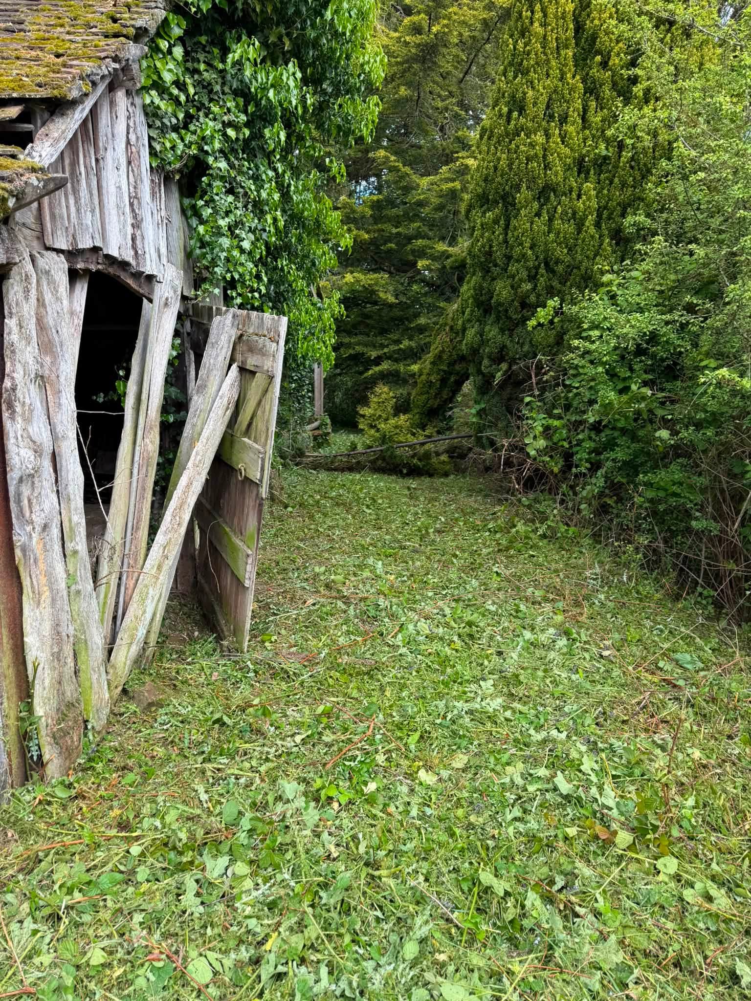 Clearing an overgrown field edge