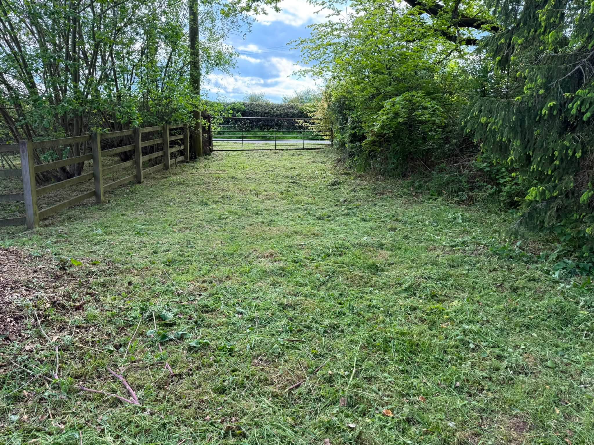 The site part-way through the tidy-up