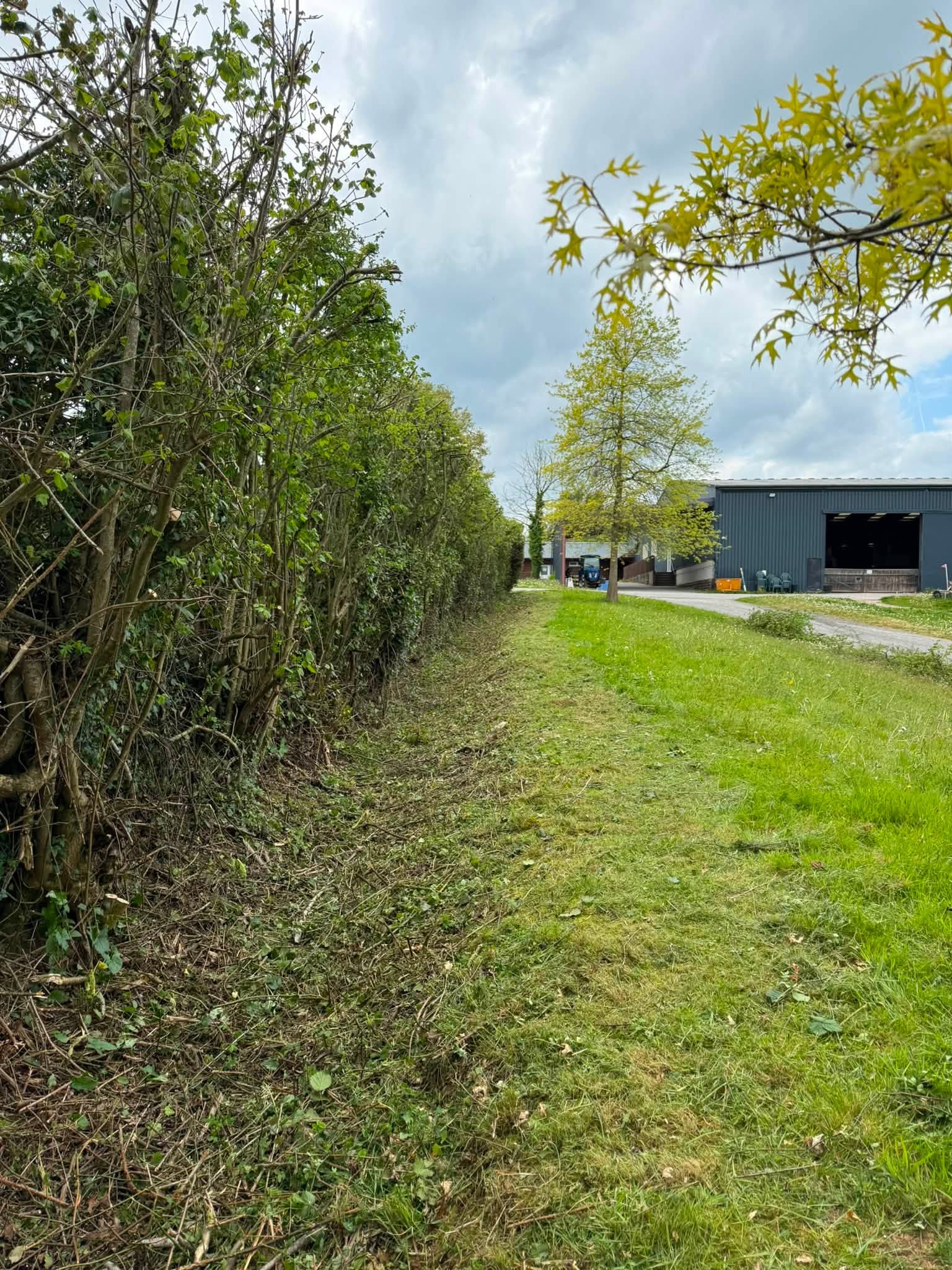 The commercial hedge after reduction and reshaping