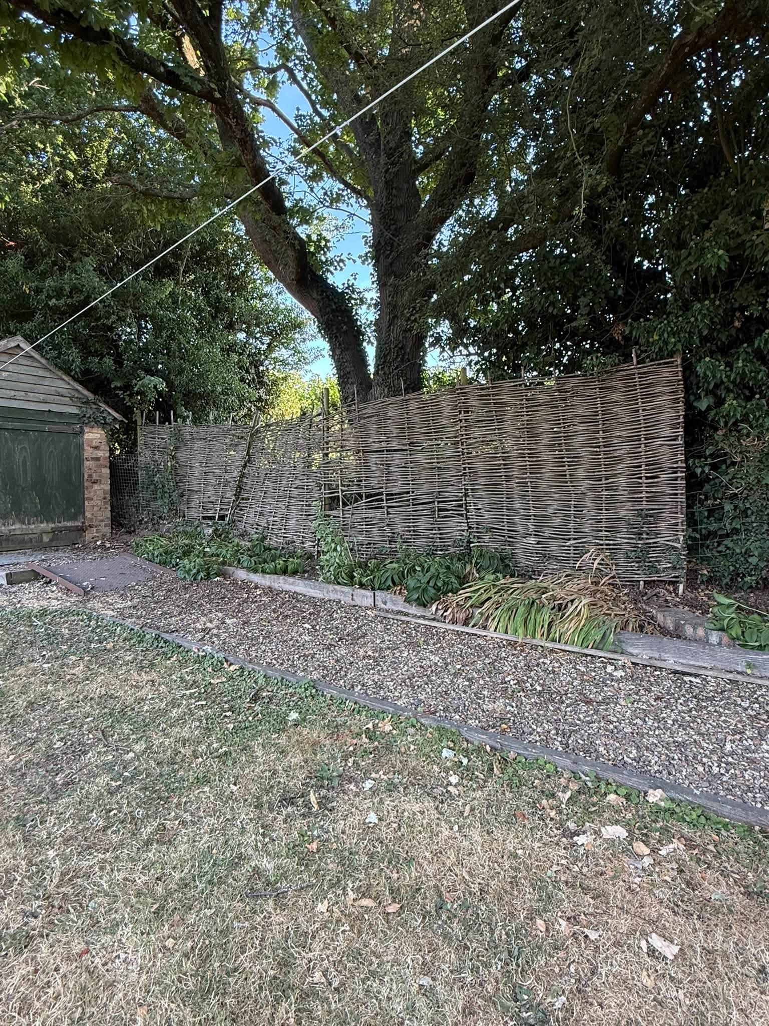 The border taking shape with relocated plants