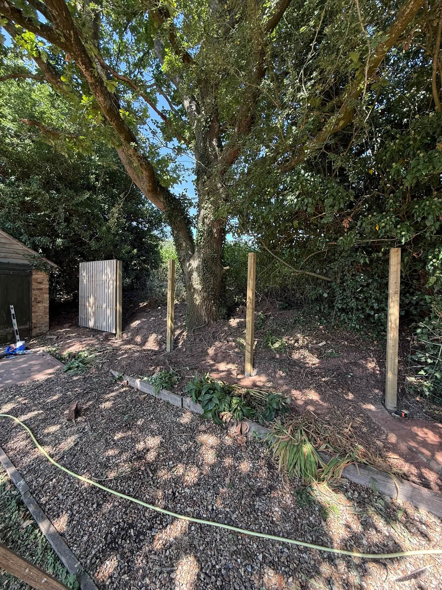 The garden looking tidier with the finished border