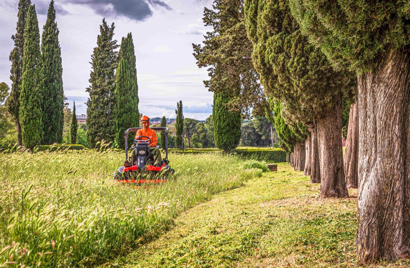 A freshly mown, striped lawn by HGM
