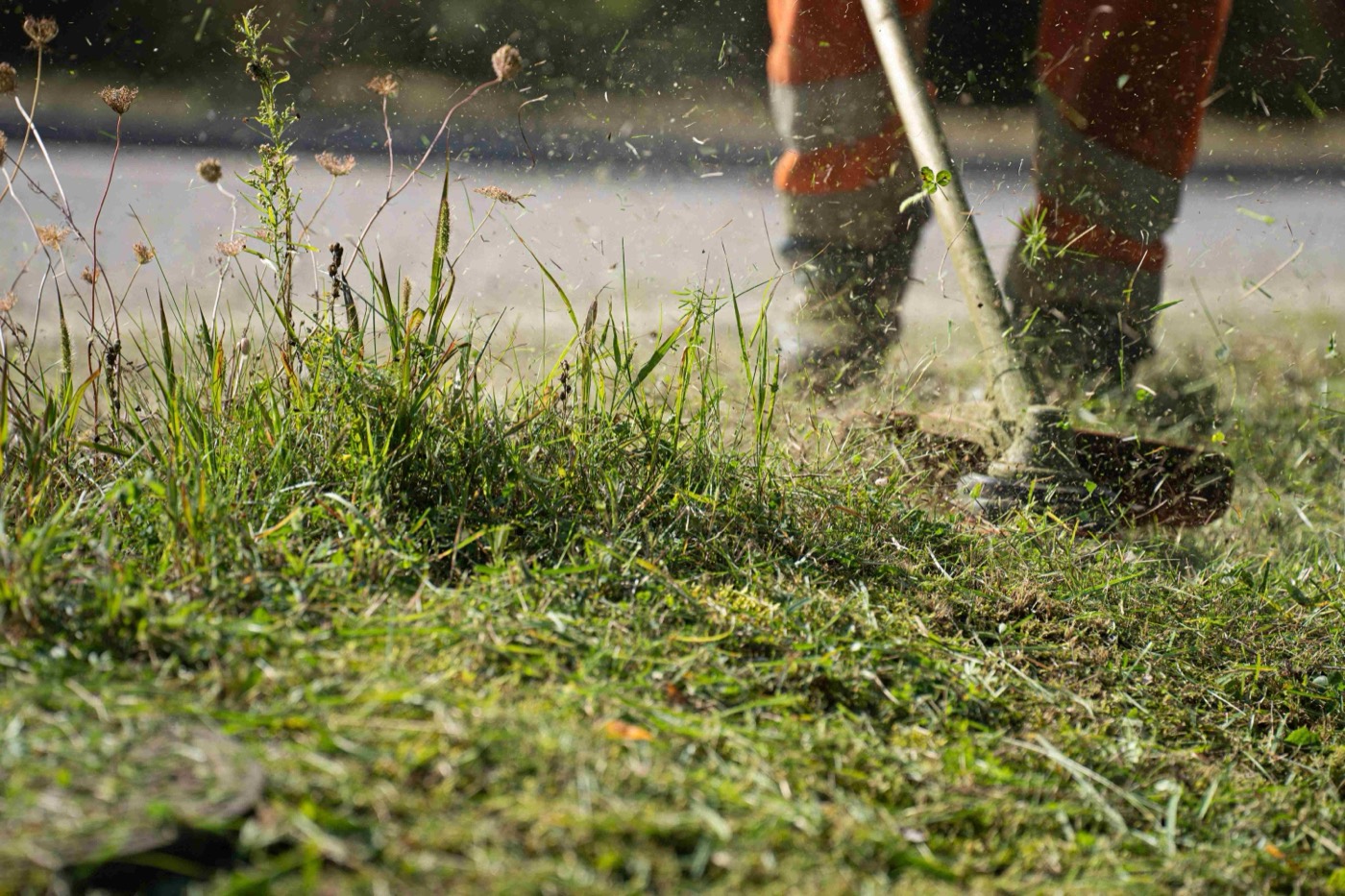 Freshly strimmed grass and verges by HGM